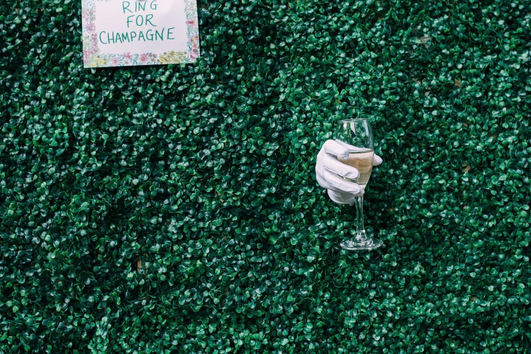 Hand in a white glove reaching through a hedge wall to pass a glass of champagne