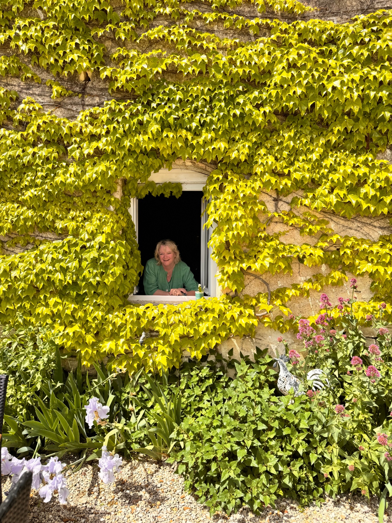 Charlie at an ivy-framed cottage window